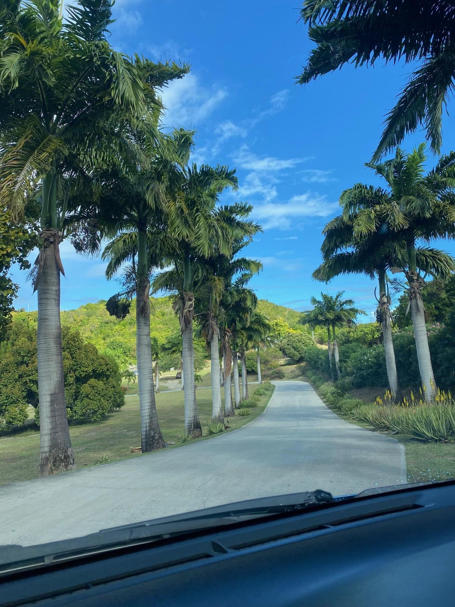 Entrance into the Resort