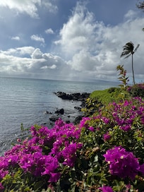 Ocean views