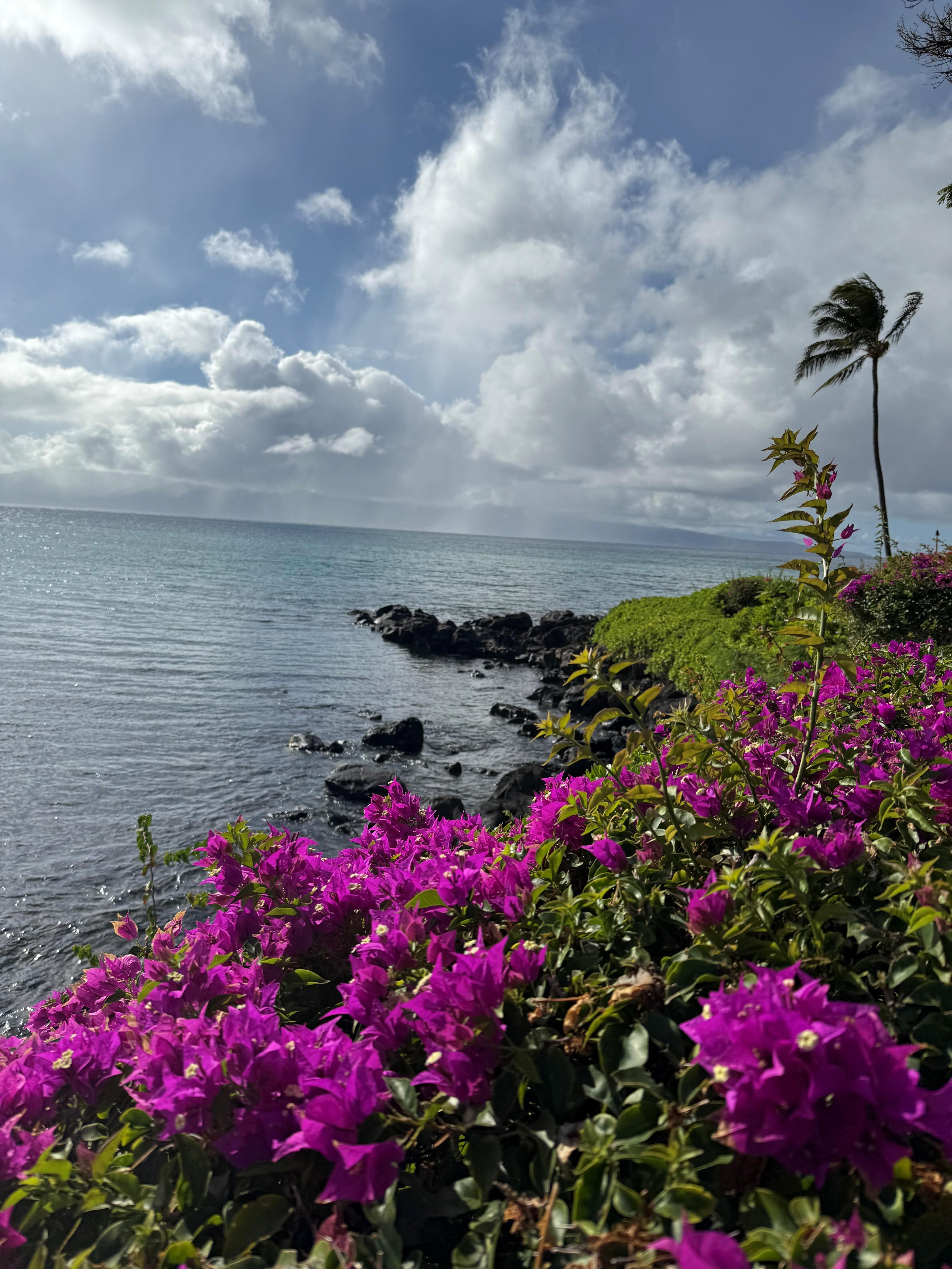 Ocean views
