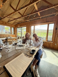 Mc Gregor vineyard