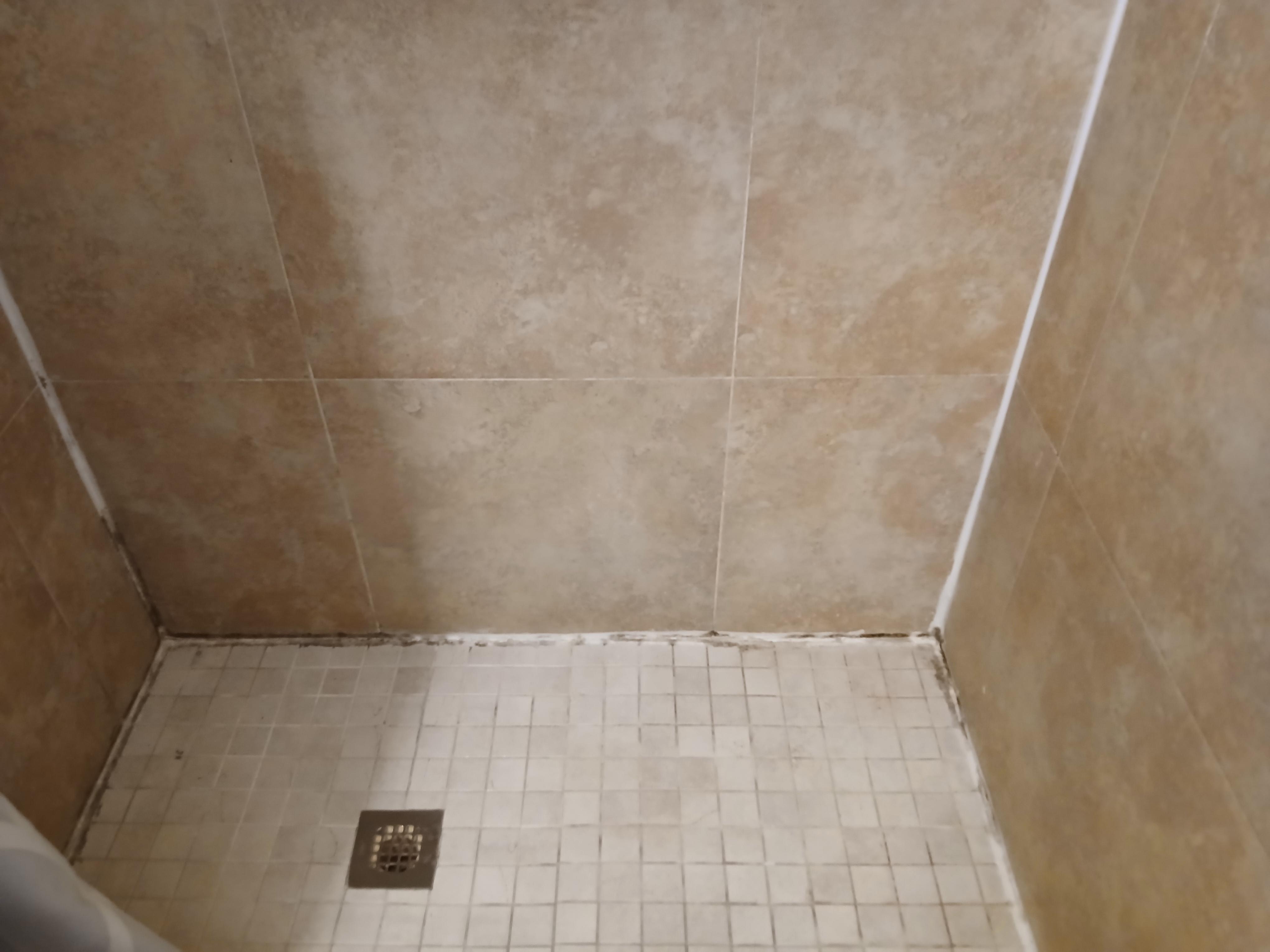 Moldy shower