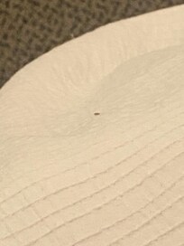 Rm257
Active unknown bugs