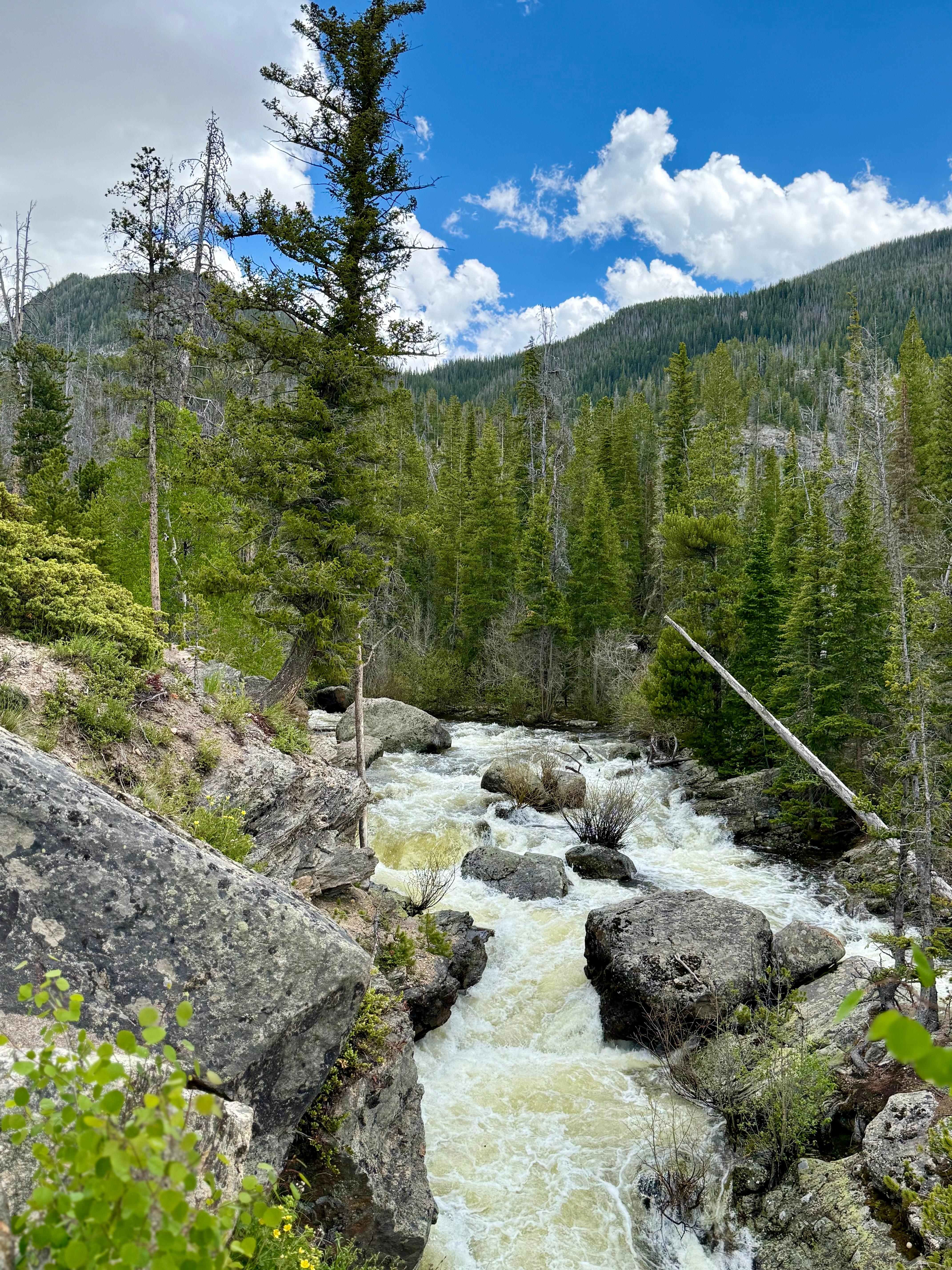 The hike to Adams Falls was incredible! 