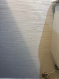 Brown splatter by toilet