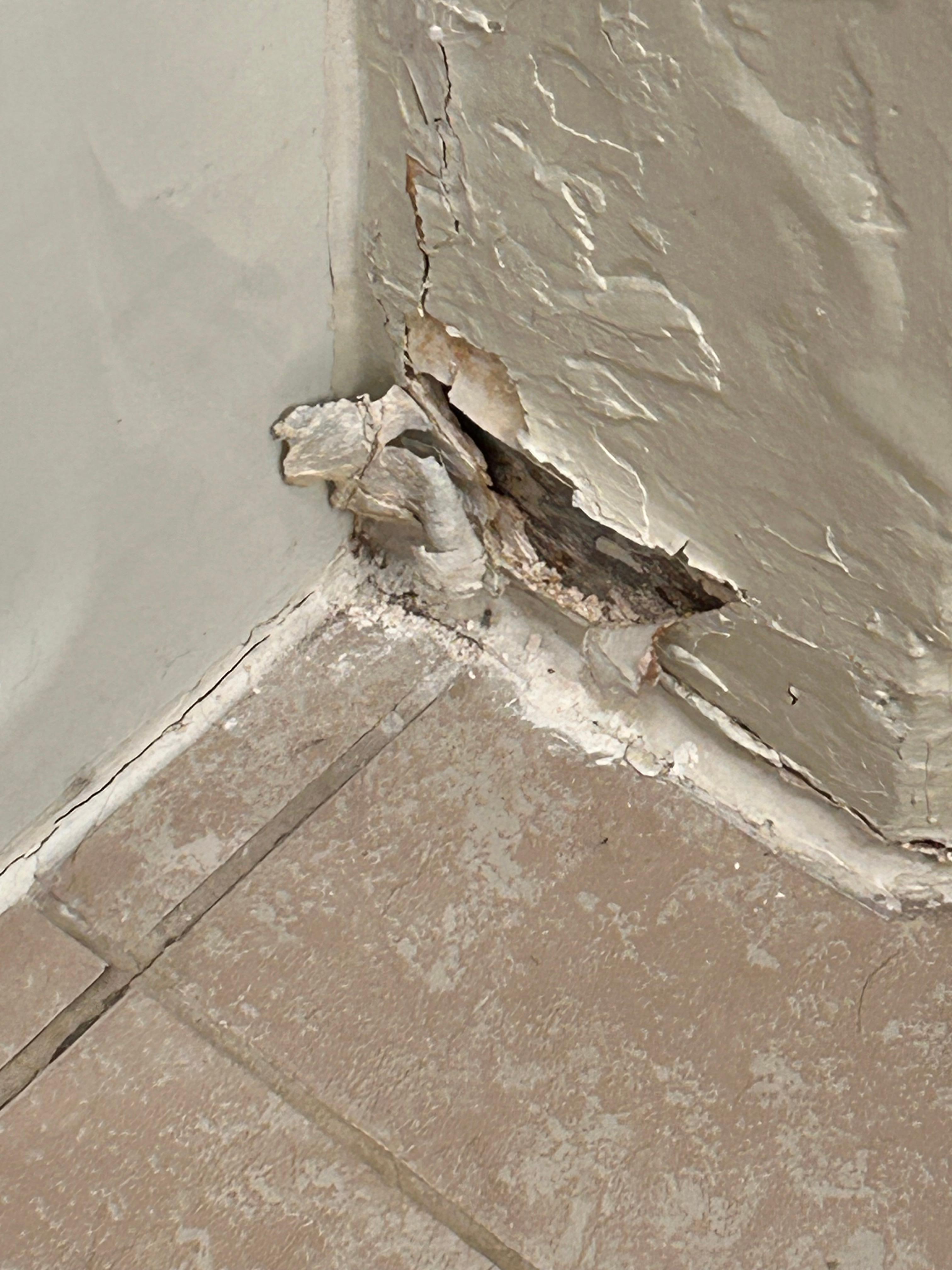 Flaking plaster