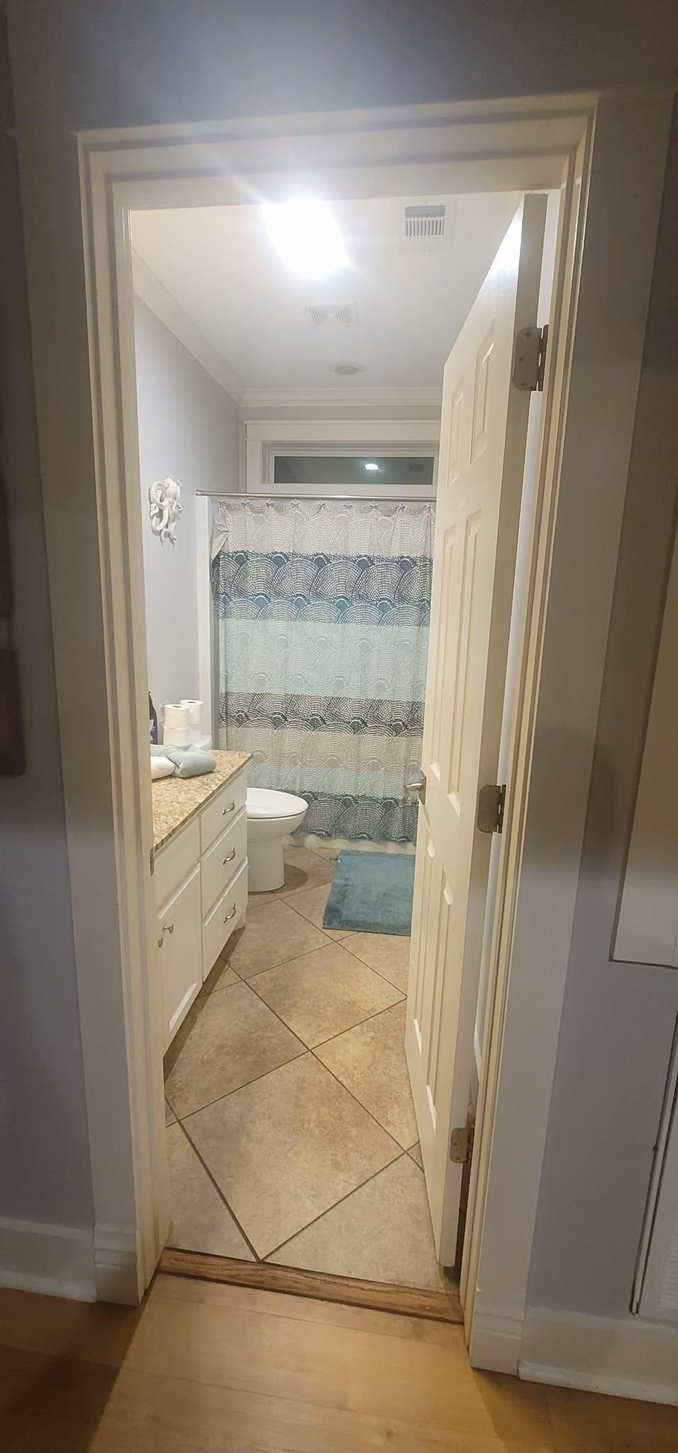 Shared Bathroom view