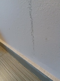 Wall marks and dust on many places