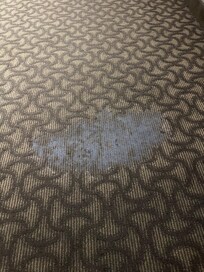 Carpet was nasty