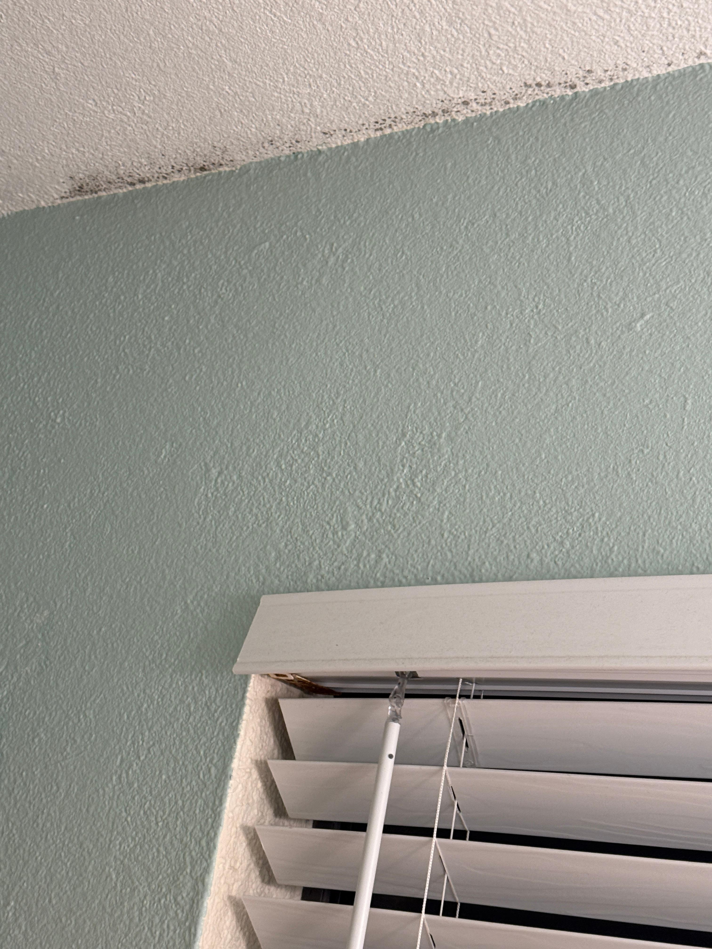 Mildew on bathroom ceiling
