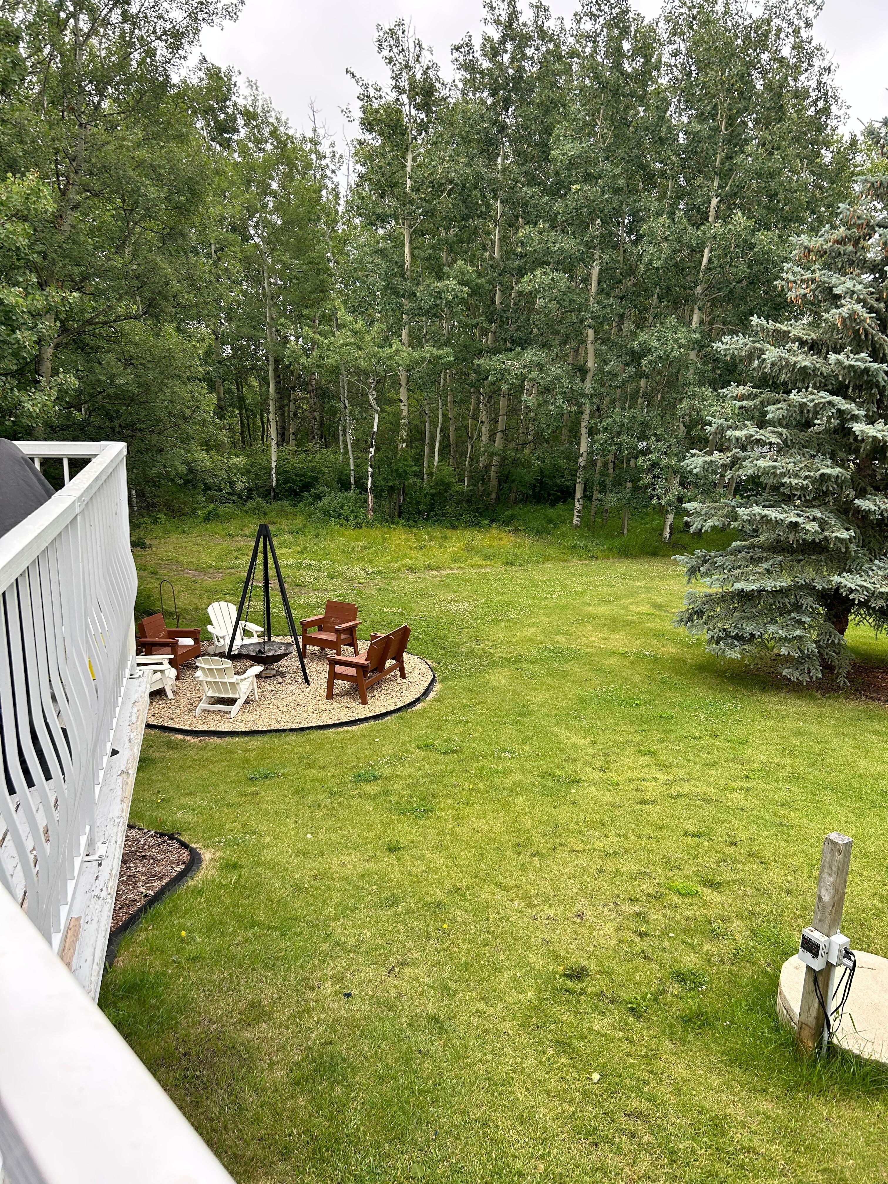 Wonderful backyard 