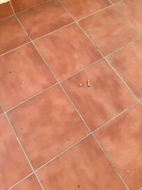 Kippen ( nicht von uns) auf dem Balkon