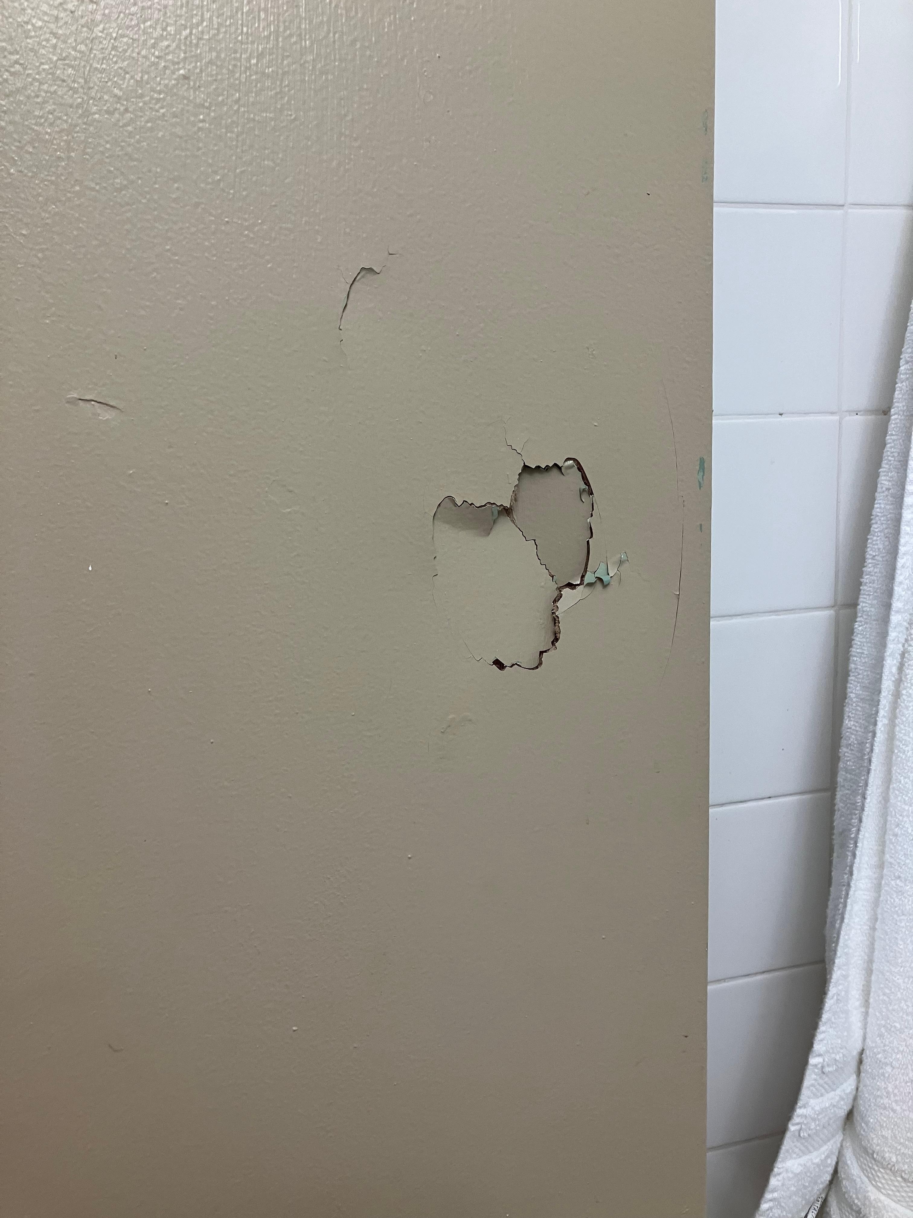 Bathroom door with holes
