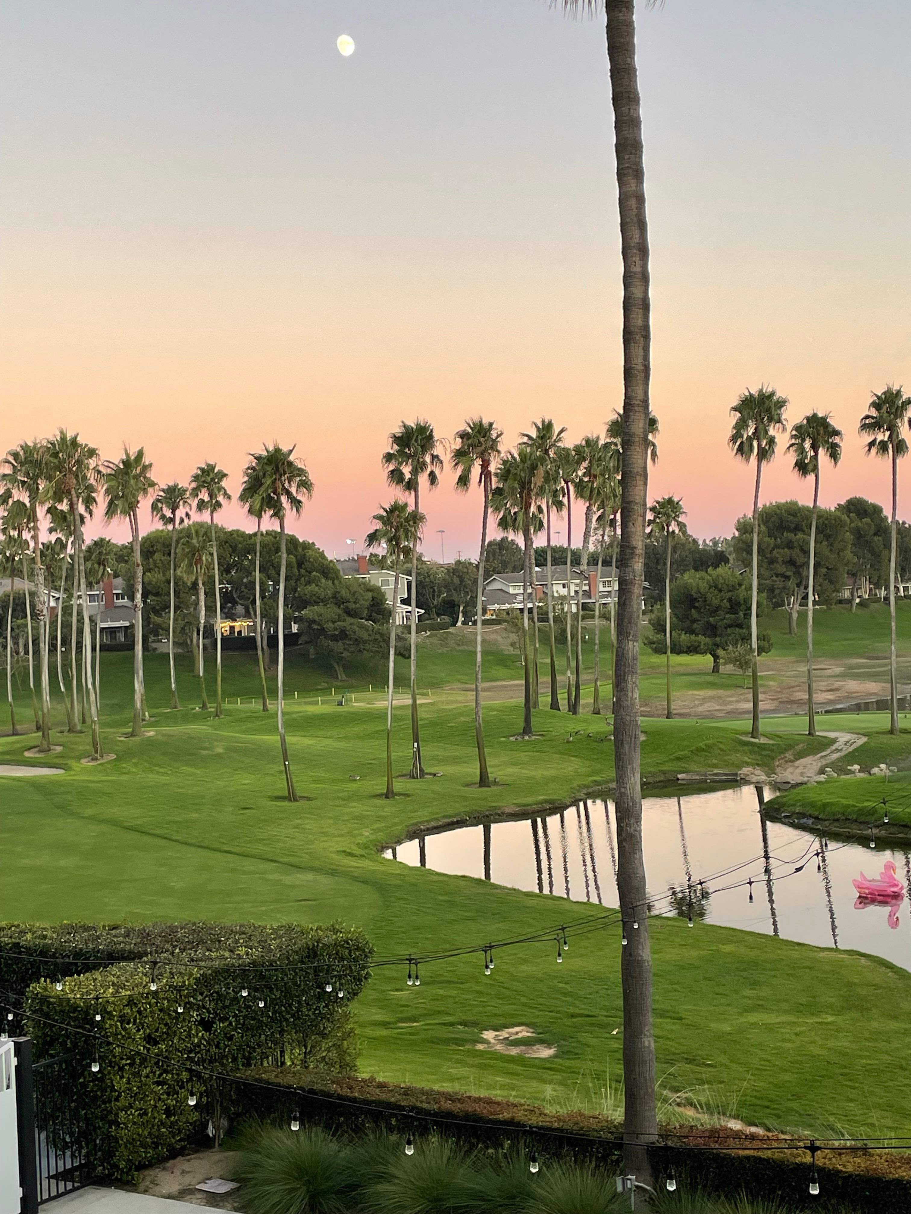 View from breakfast. 