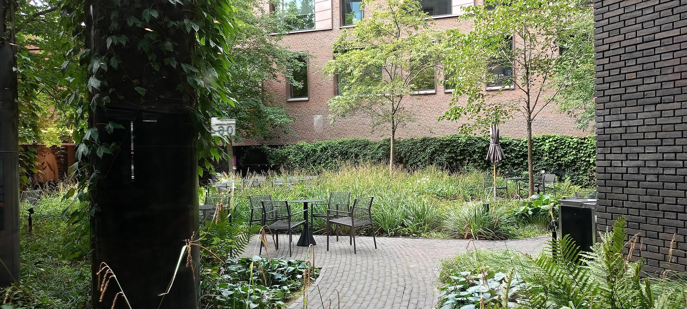 Yard
