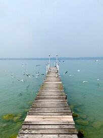 Dock in the back on the lake.
