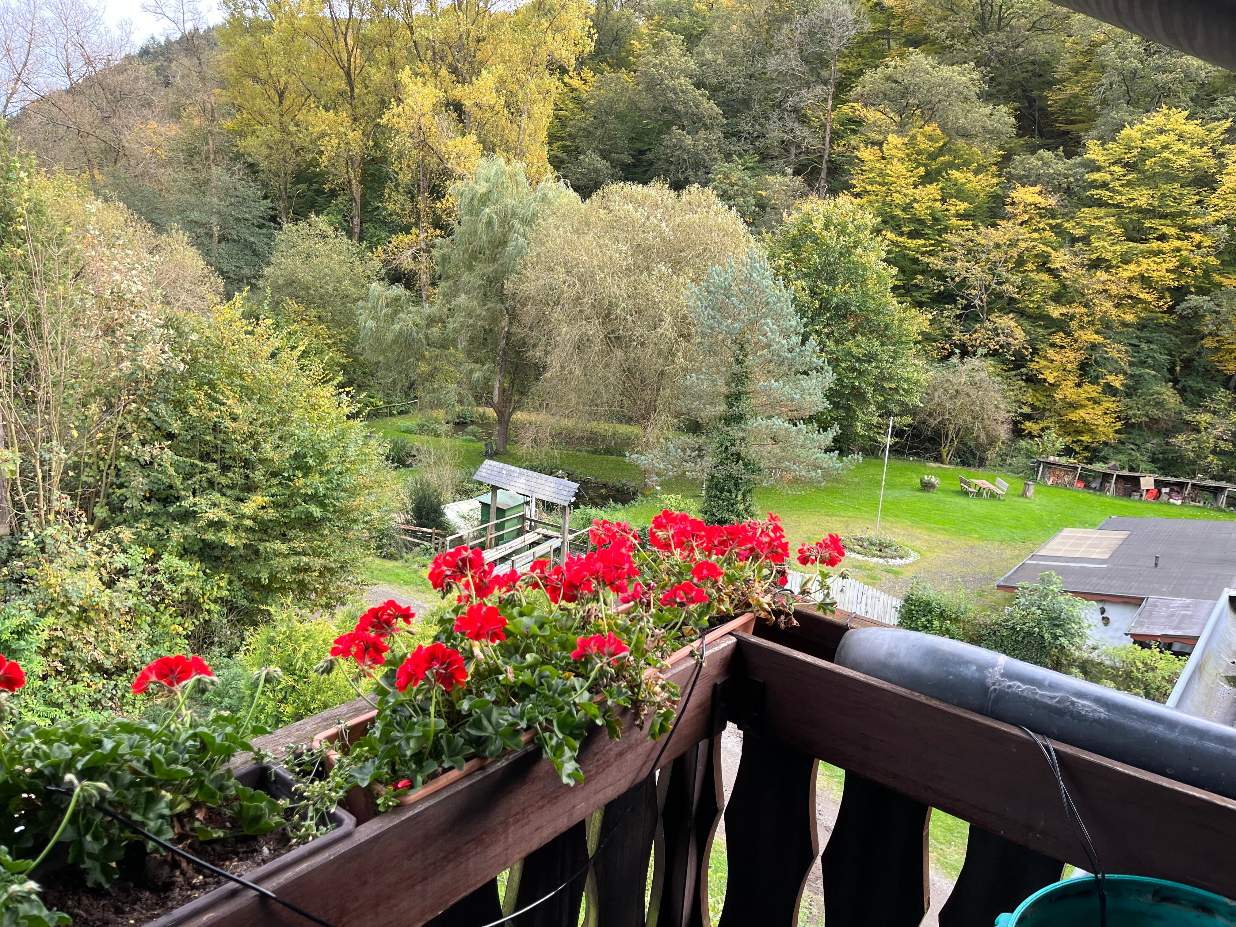 Schöner Blick vom Balkon