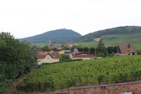 Udsigten fra værelset med tilhørende "resort" = vinmark. Man kan på toppen af bjerget se Koenigsbourg.