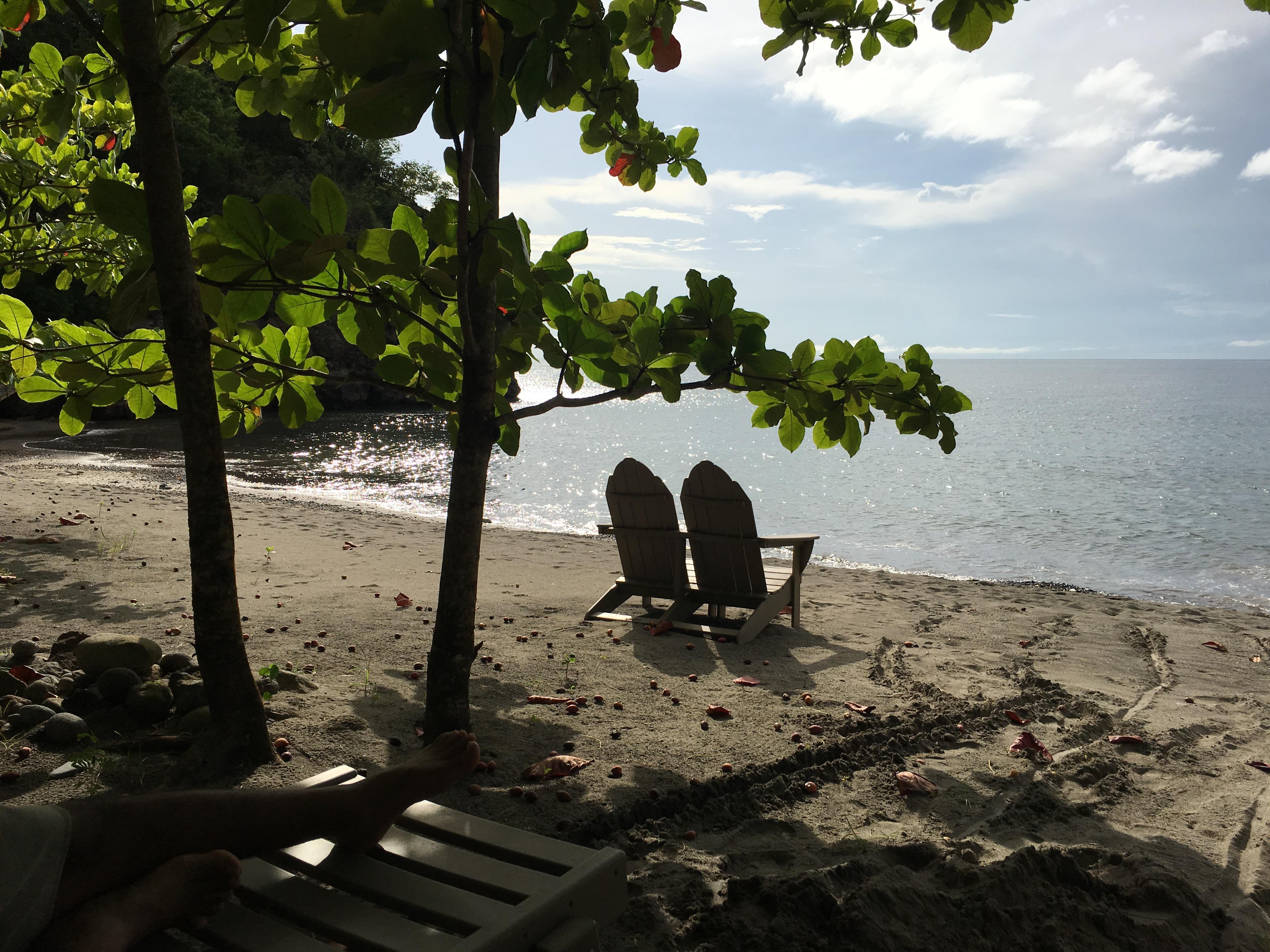 Relaxing under a tree on the beach