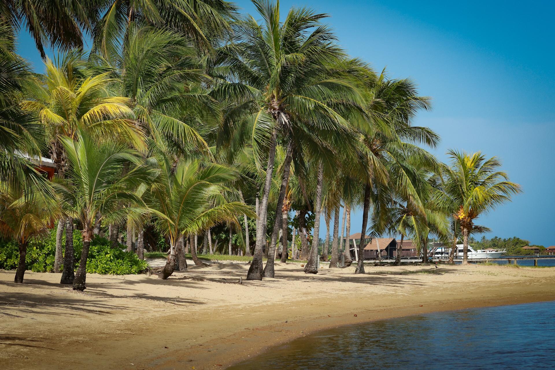 Property beach