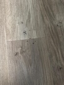 Some stains on the floor