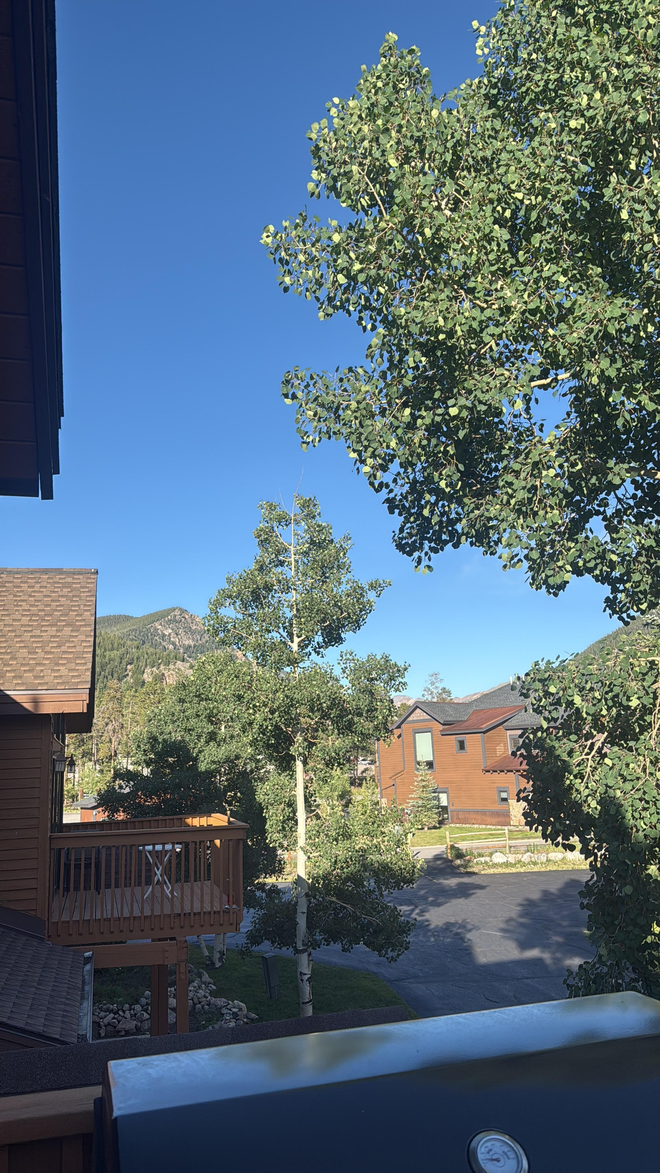 Views from the patio