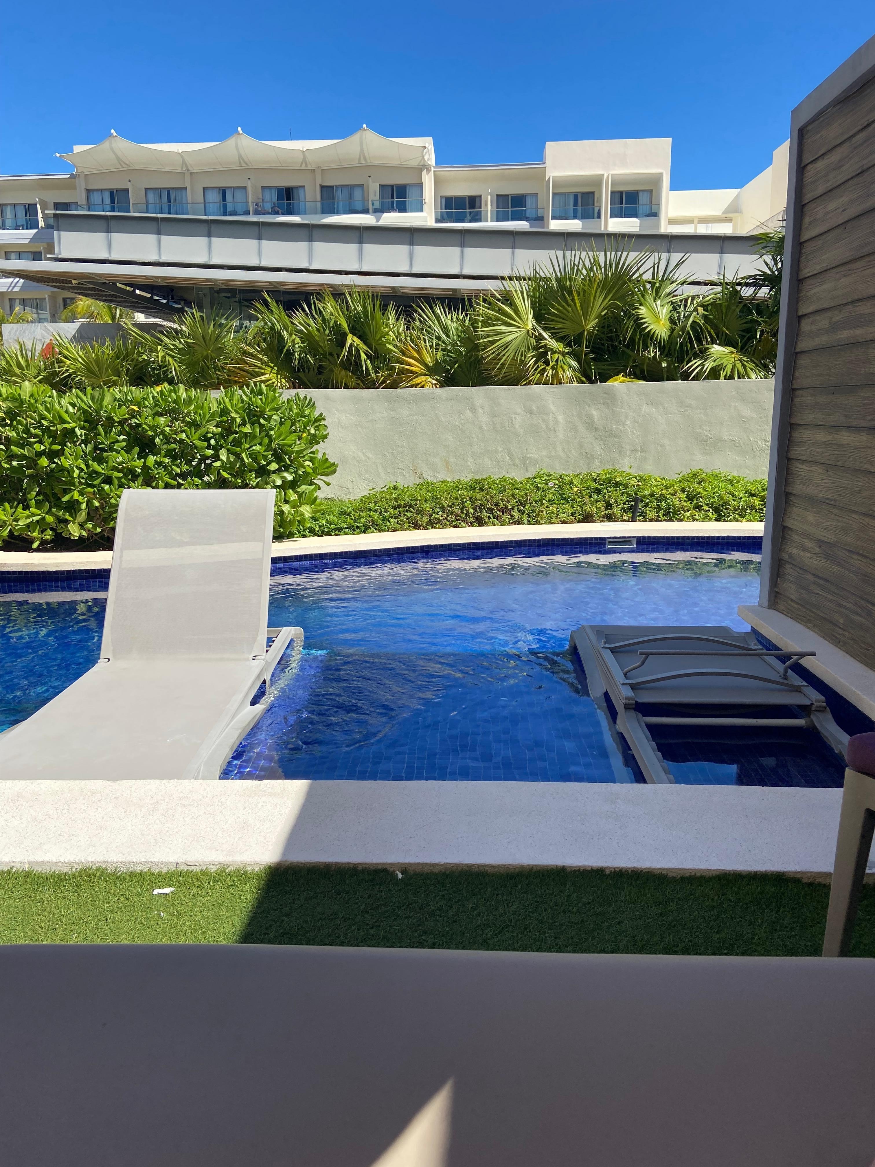 My view from the lounger in our backyard. 