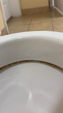 Dirty toilet