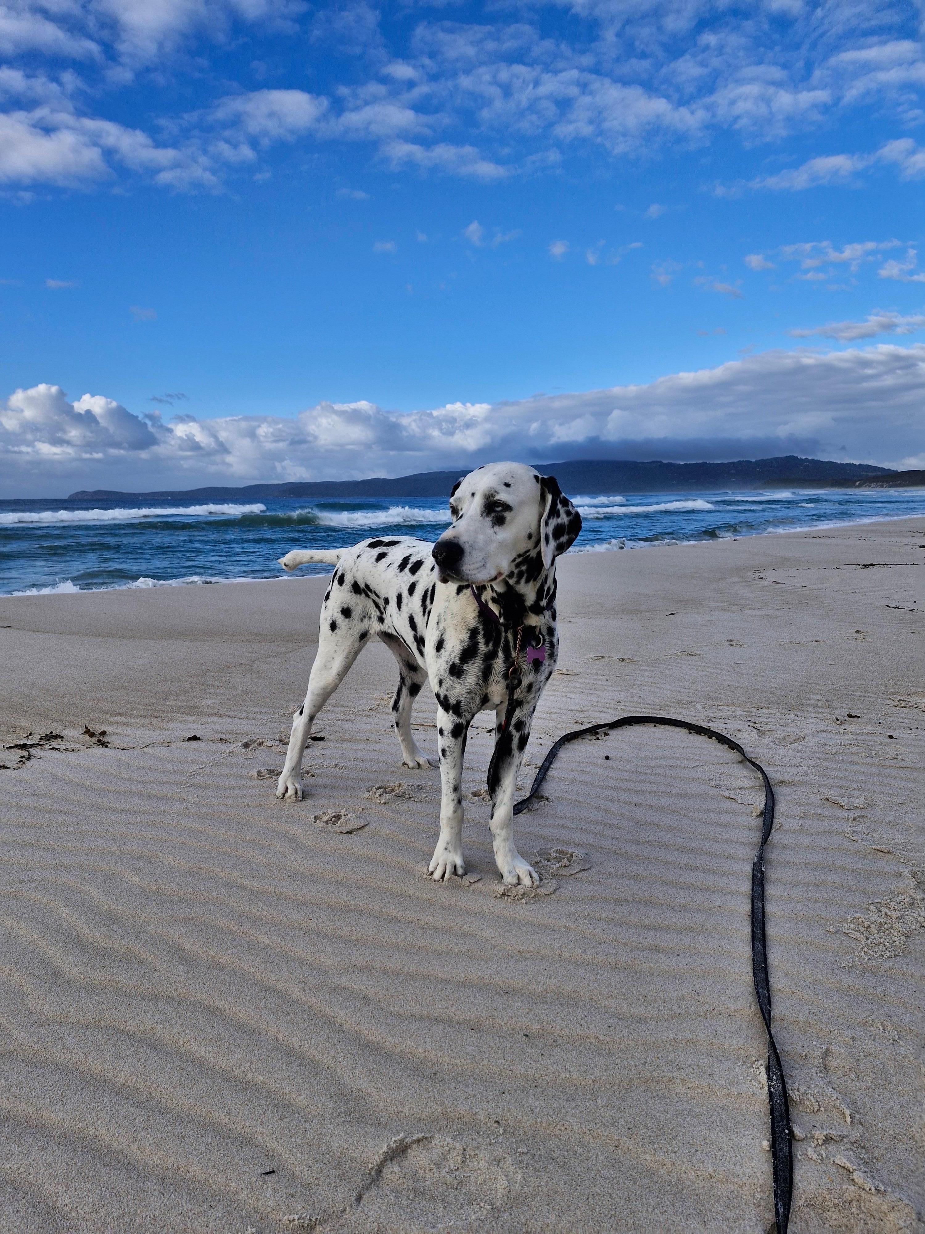 Zara had the best time running along the beach