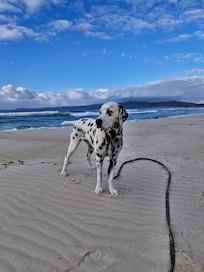 Zara had the best time running along the beach