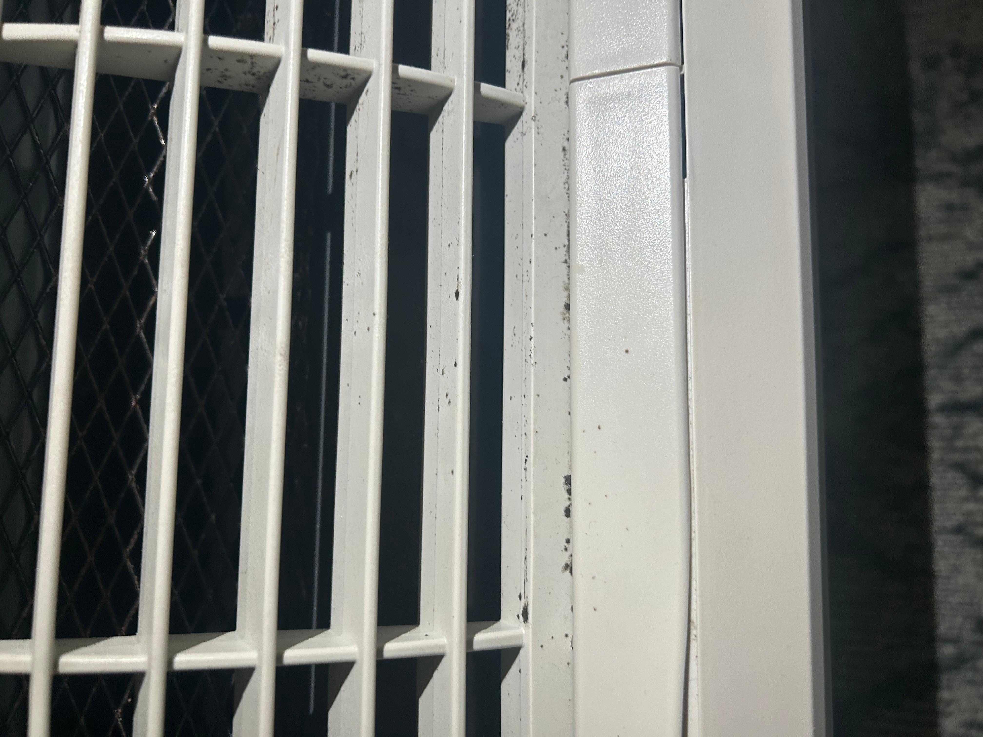 Mold in ac vent 