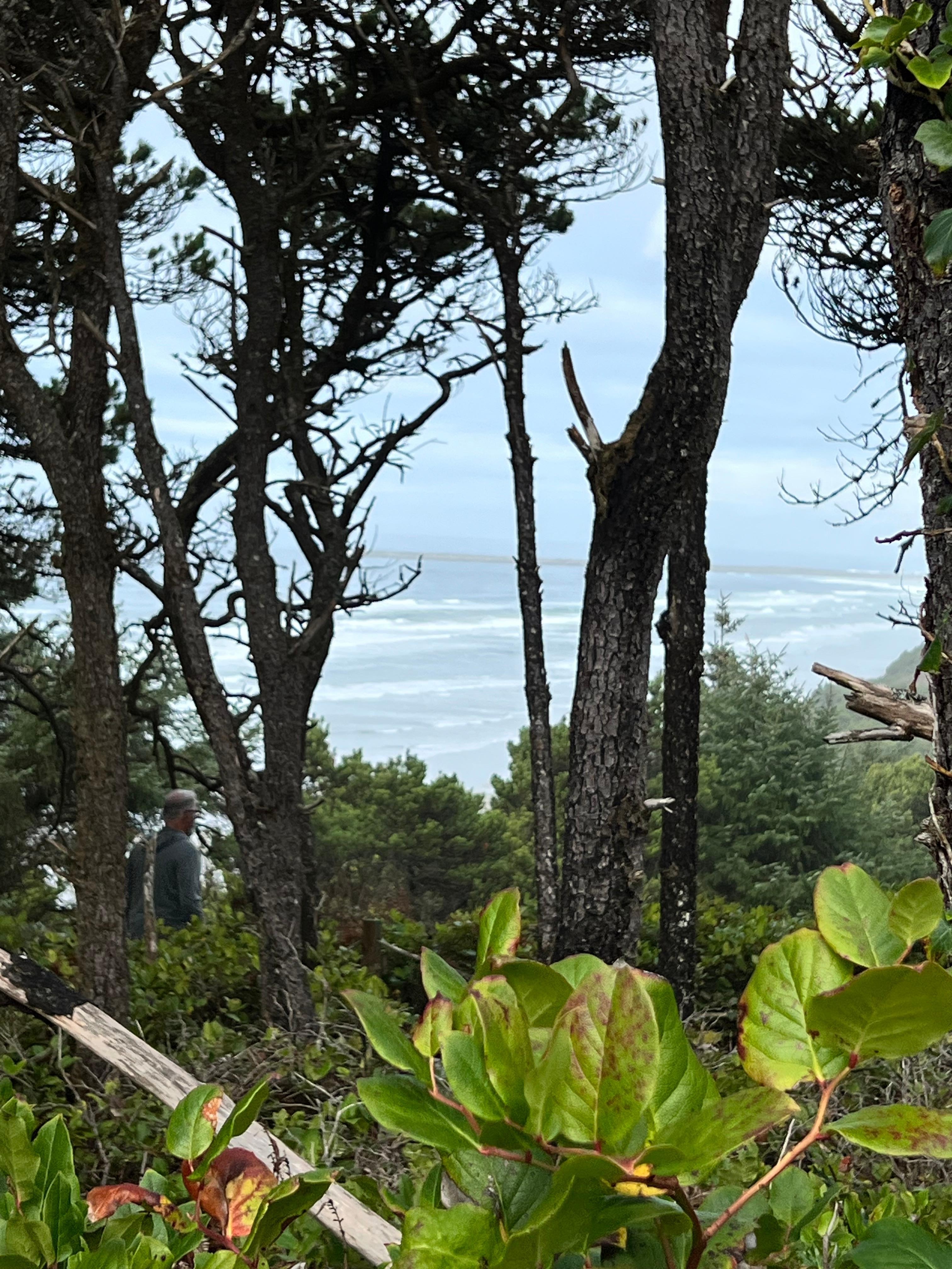 View from the trail to the beach