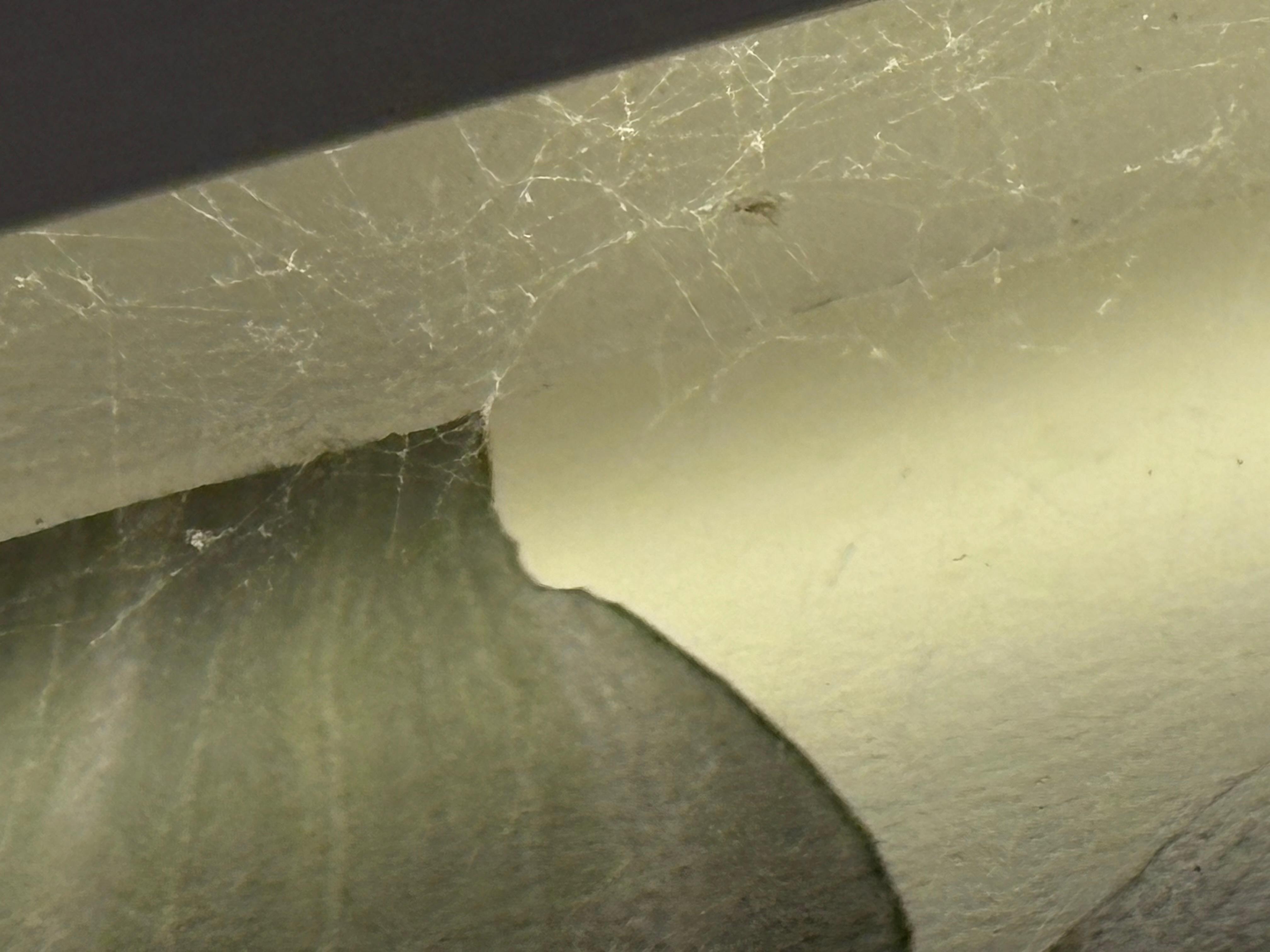 Spiders and webs above bed 