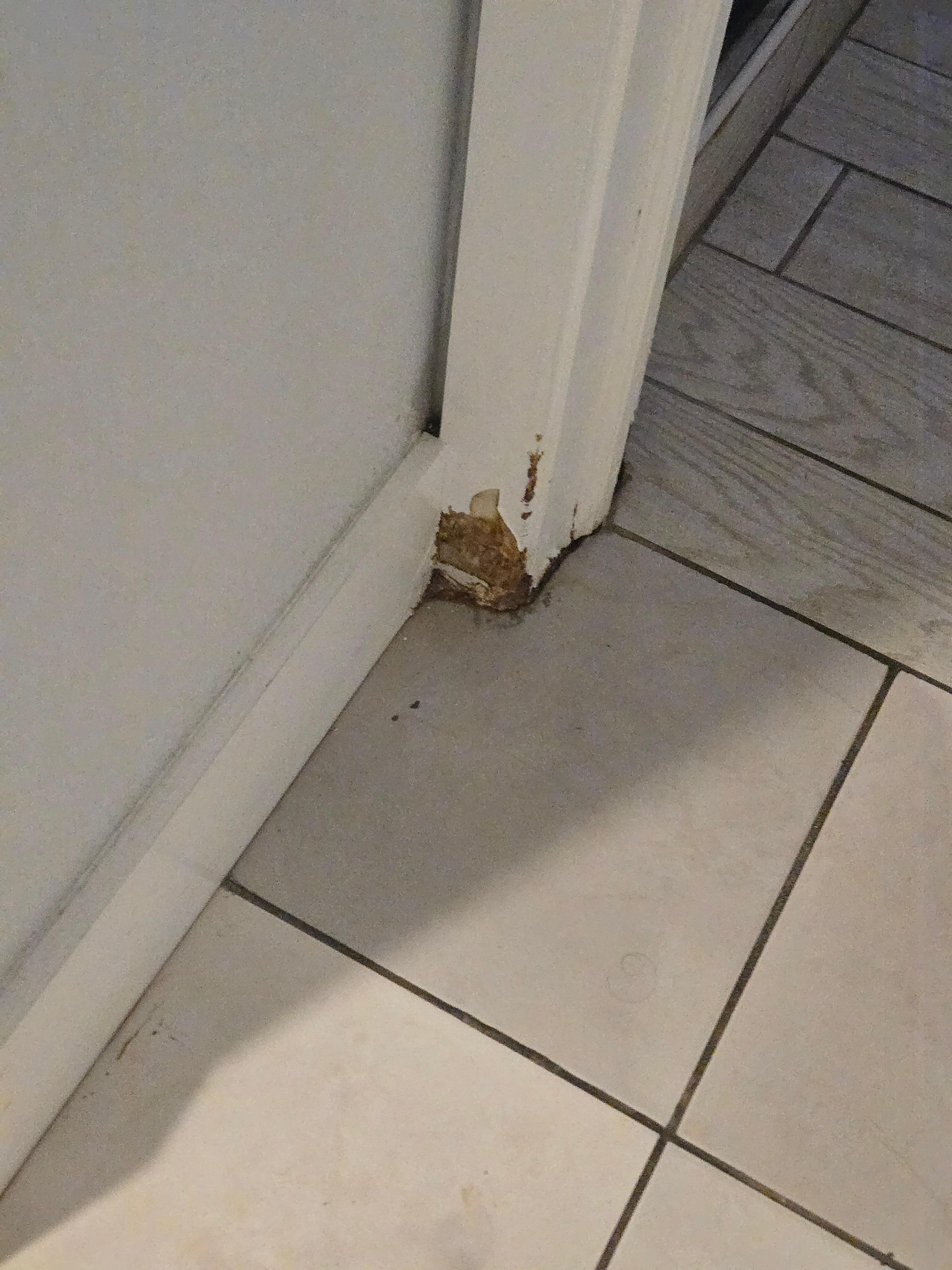 Water damage in master bath