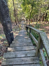 The beginning of 160 steps!