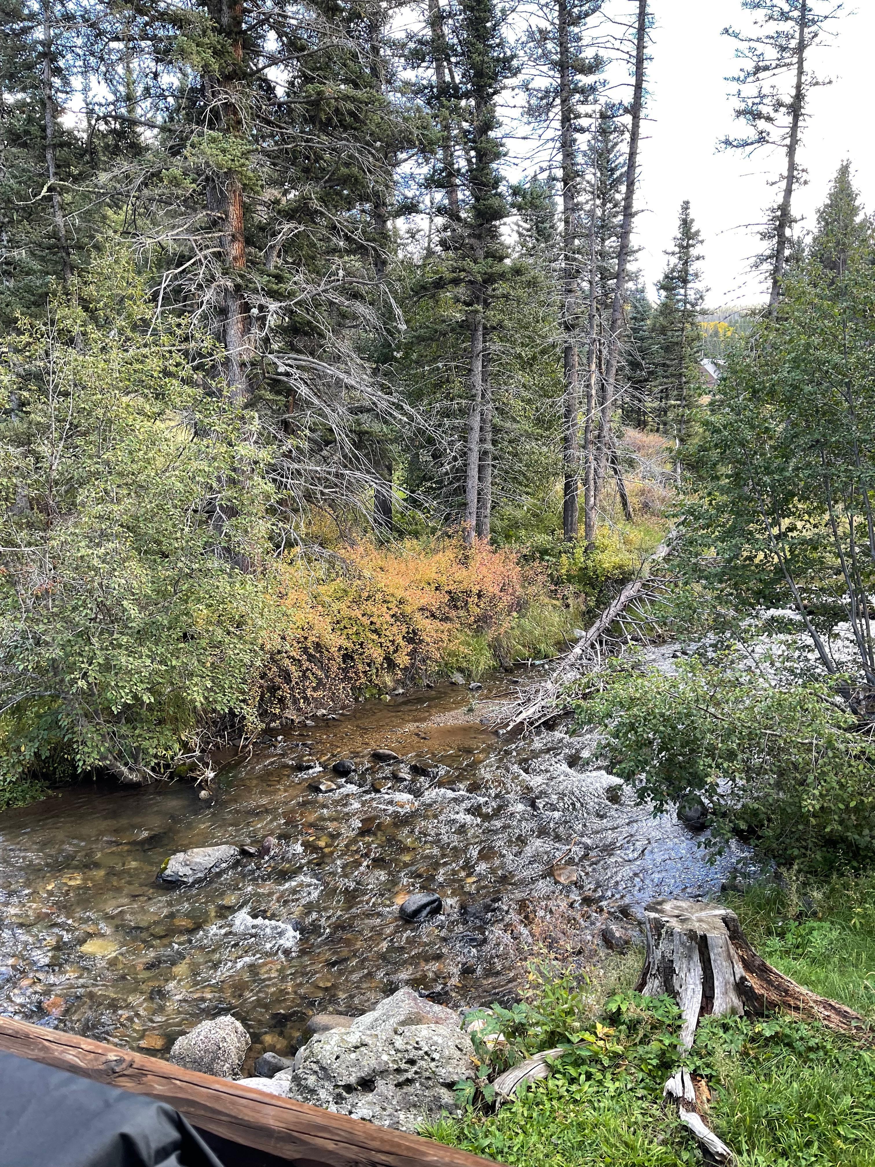 another direction from the porch if I could add the sound, I would so relaxing