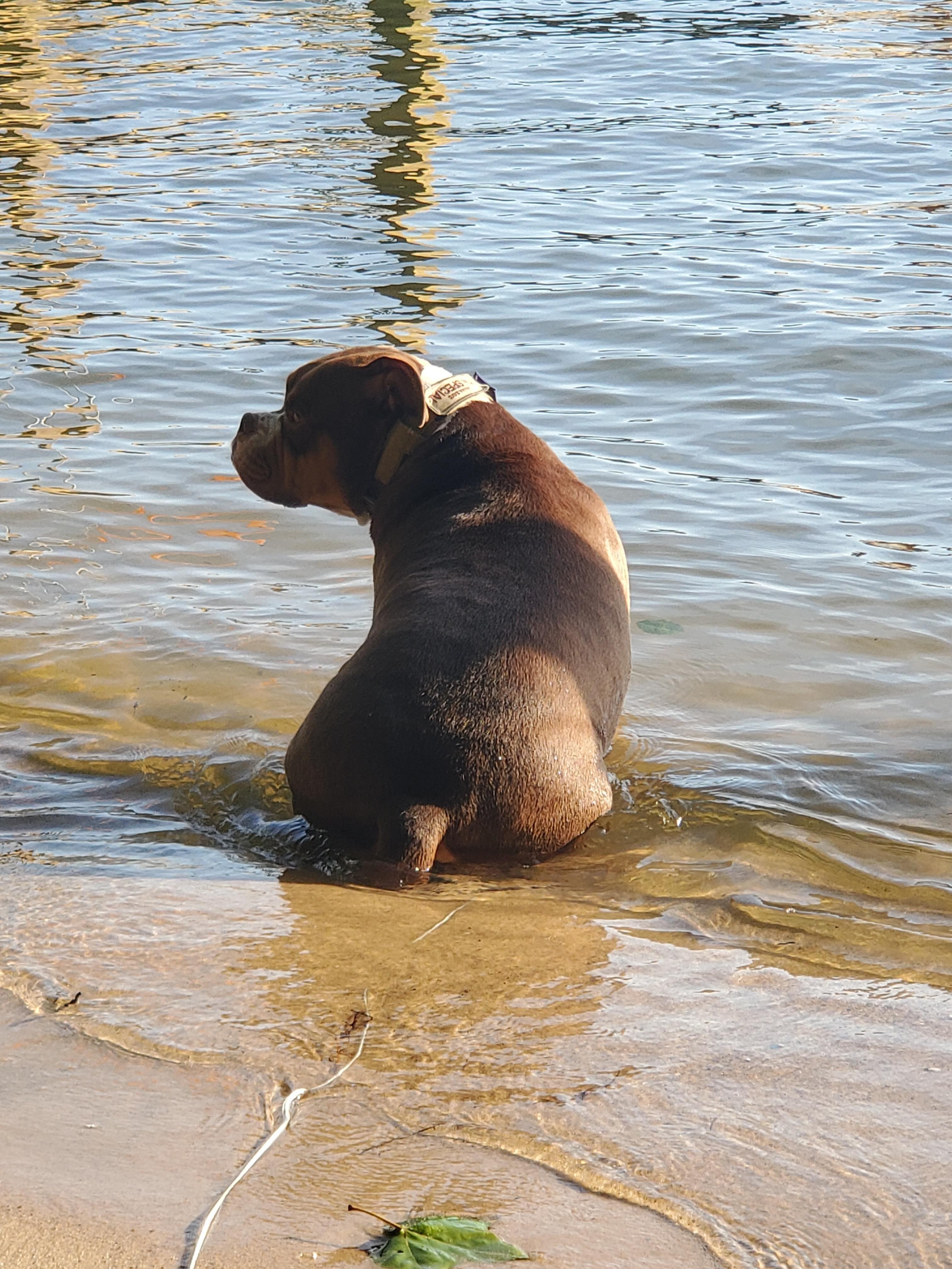Todd, enjoying the lake.