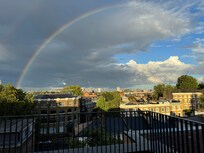 Rainbow from the patio.