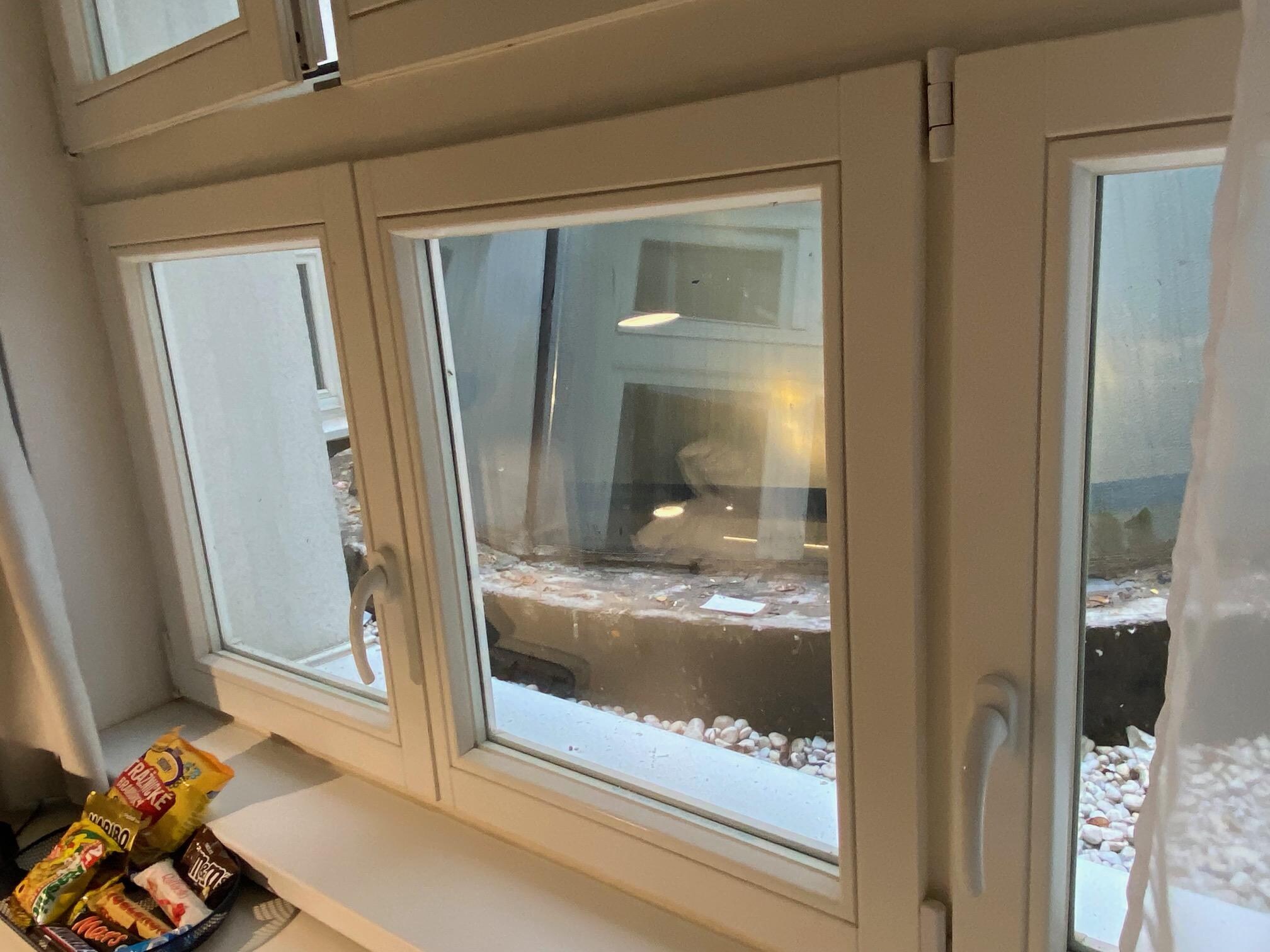 The view from the only window in this room