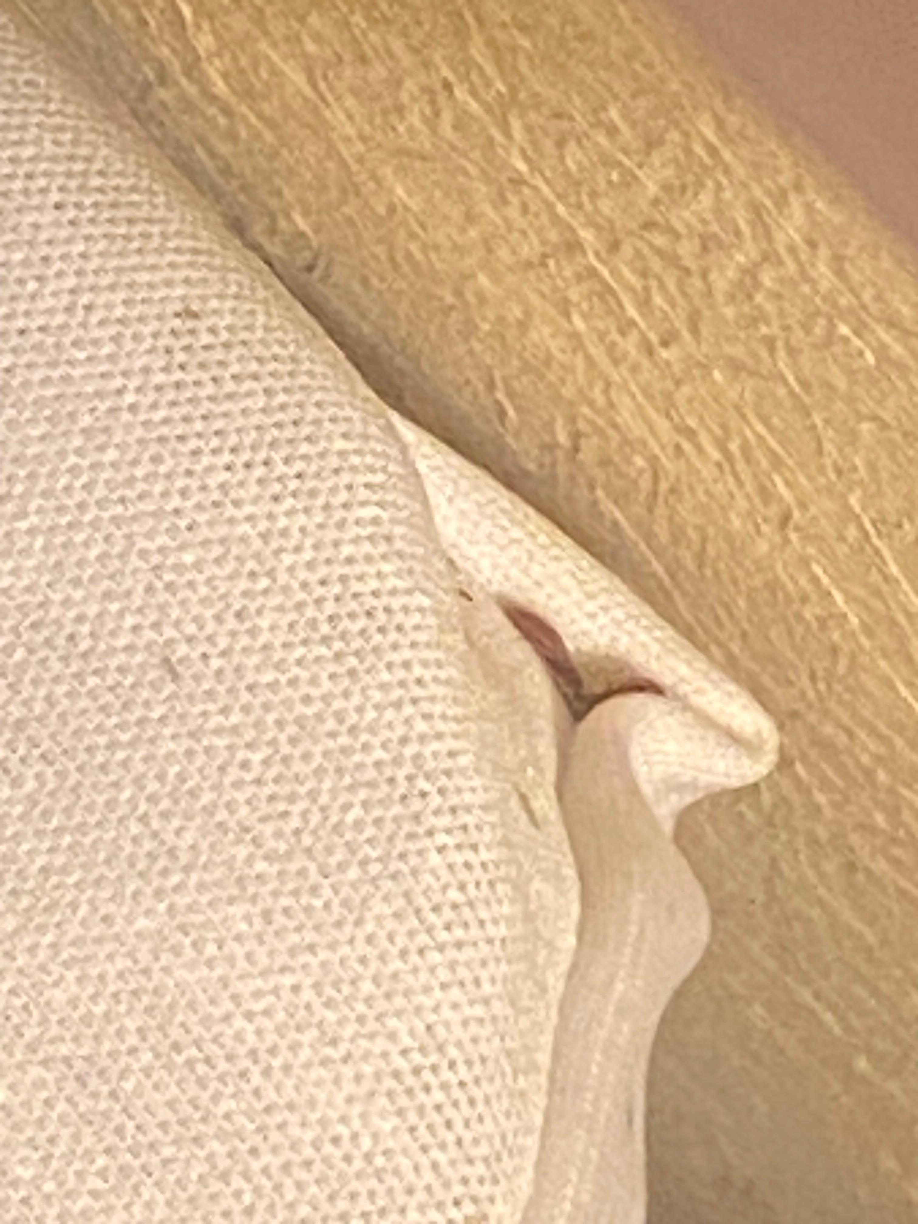 Rm246
Active BedBugs