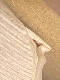 Rm246
Active BedBugs