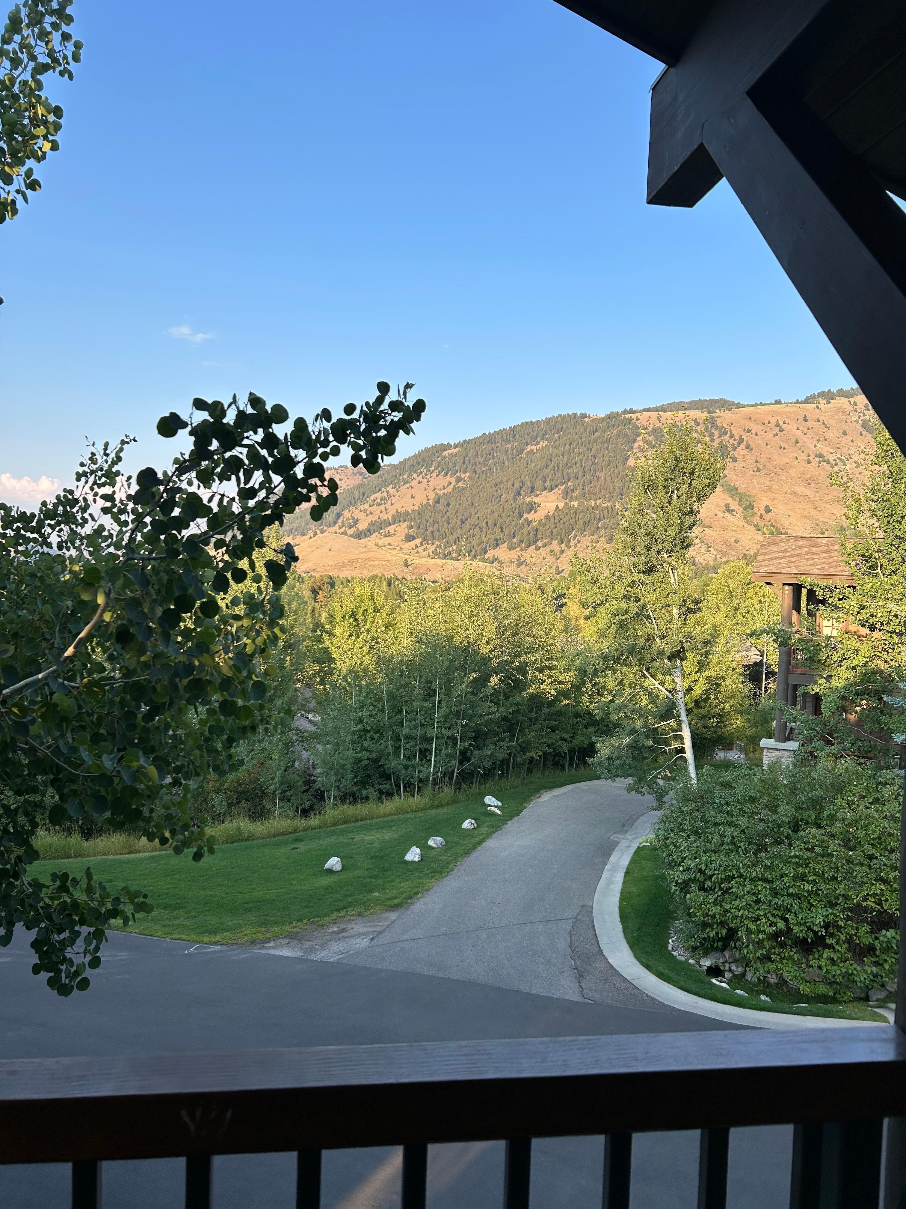 Looking out the front porch.