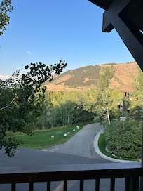 Looking out the front porch.