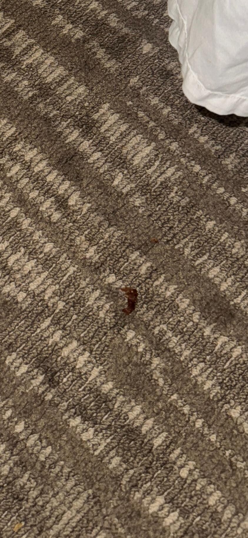 Bacon crumbs in carpet