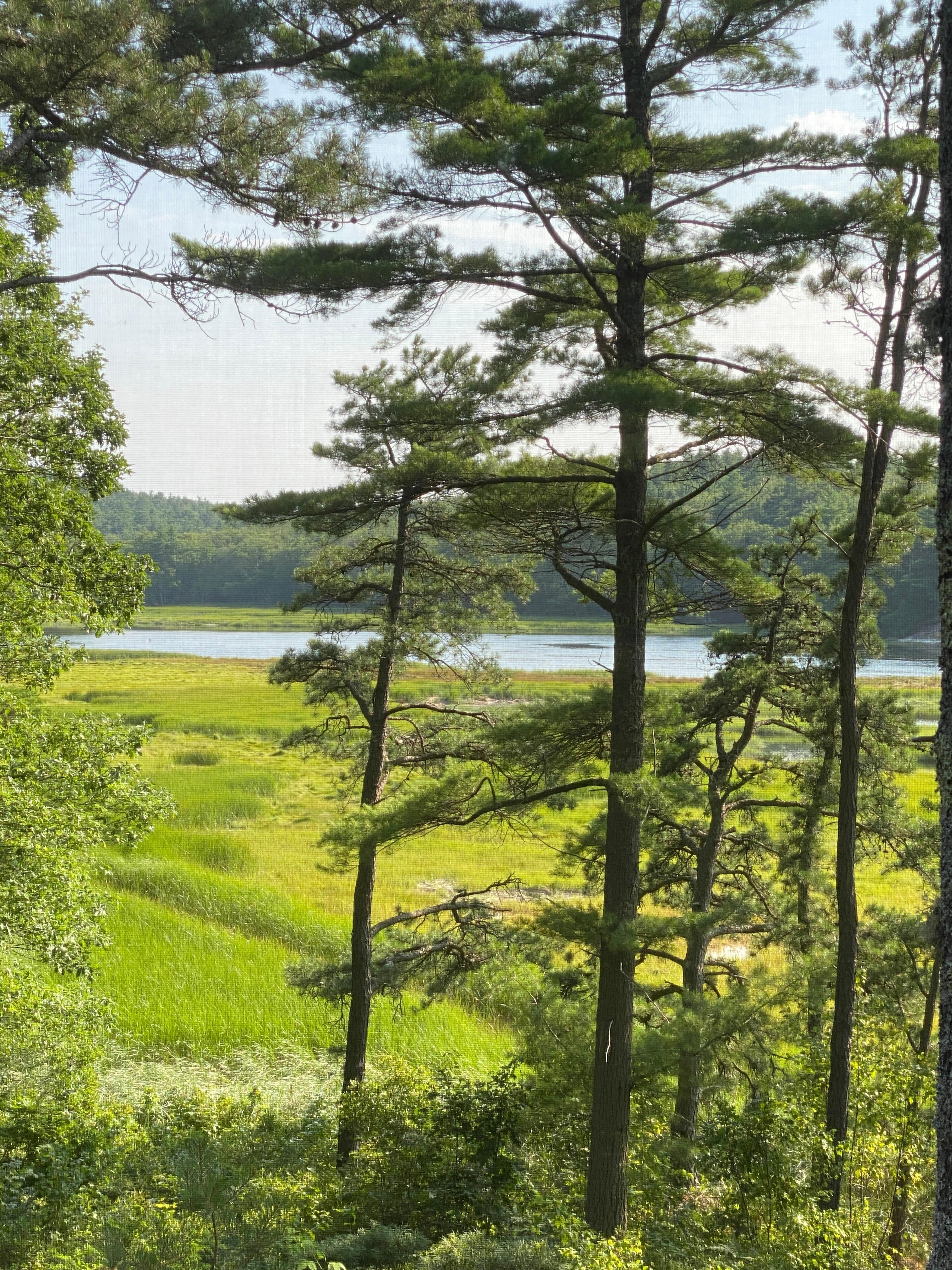 View from the large screened in porch