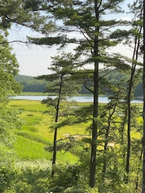 View from the large screened in porch