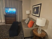 Sleep sofa and TV