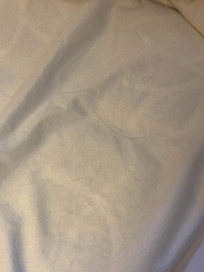Hair on mattress pad