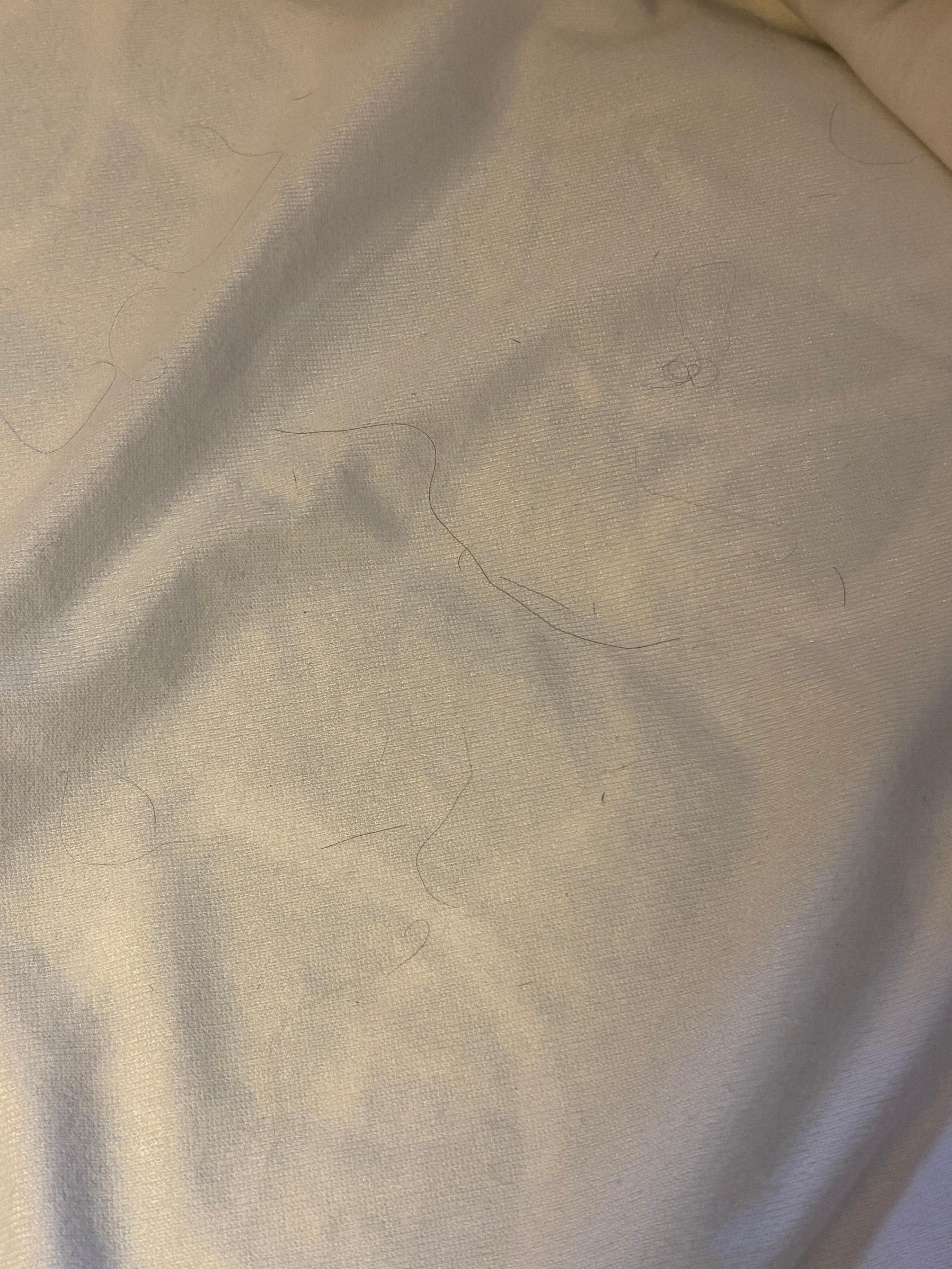 Hair on mattress pad 
