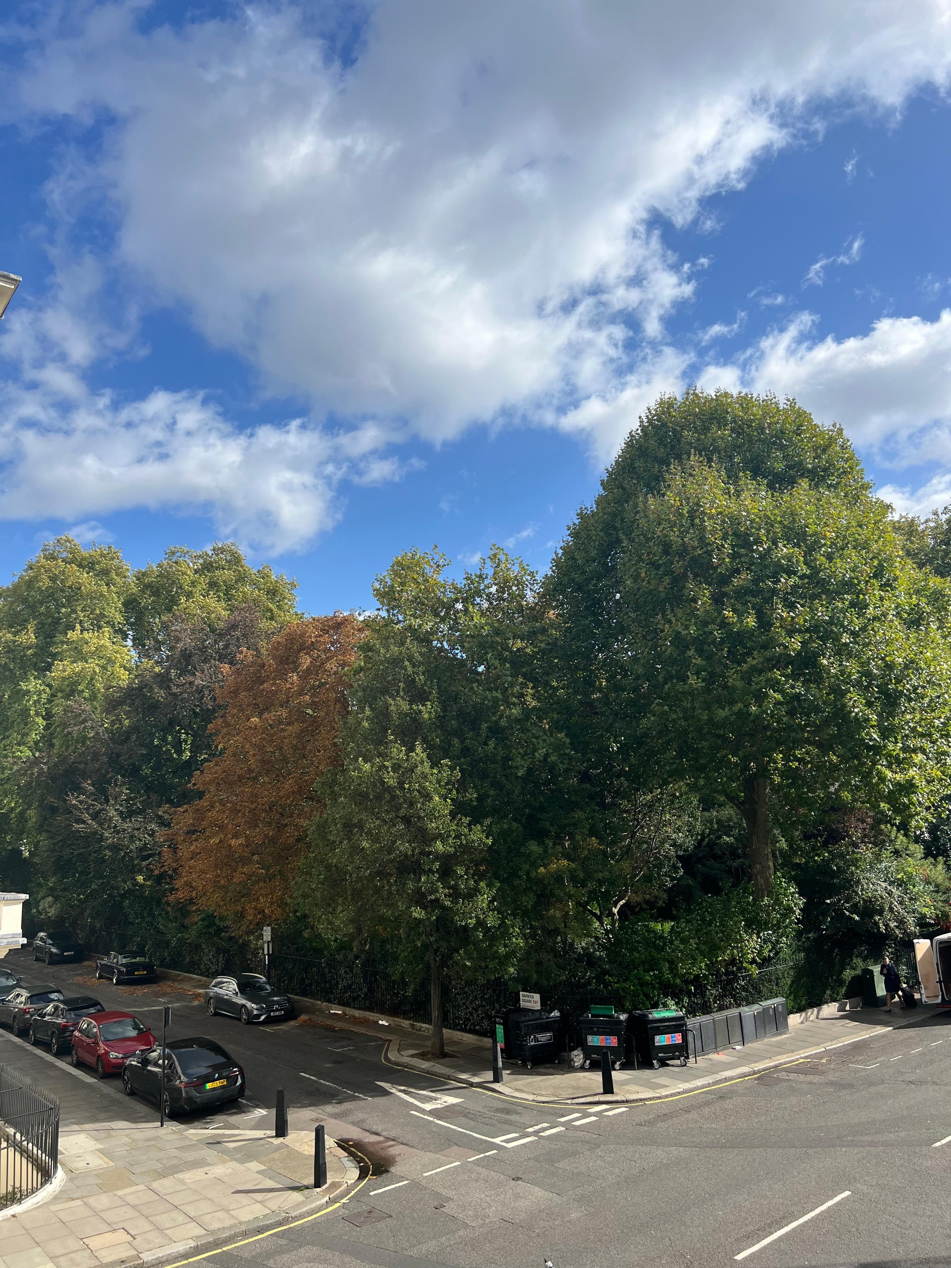 View of Warwick Square 