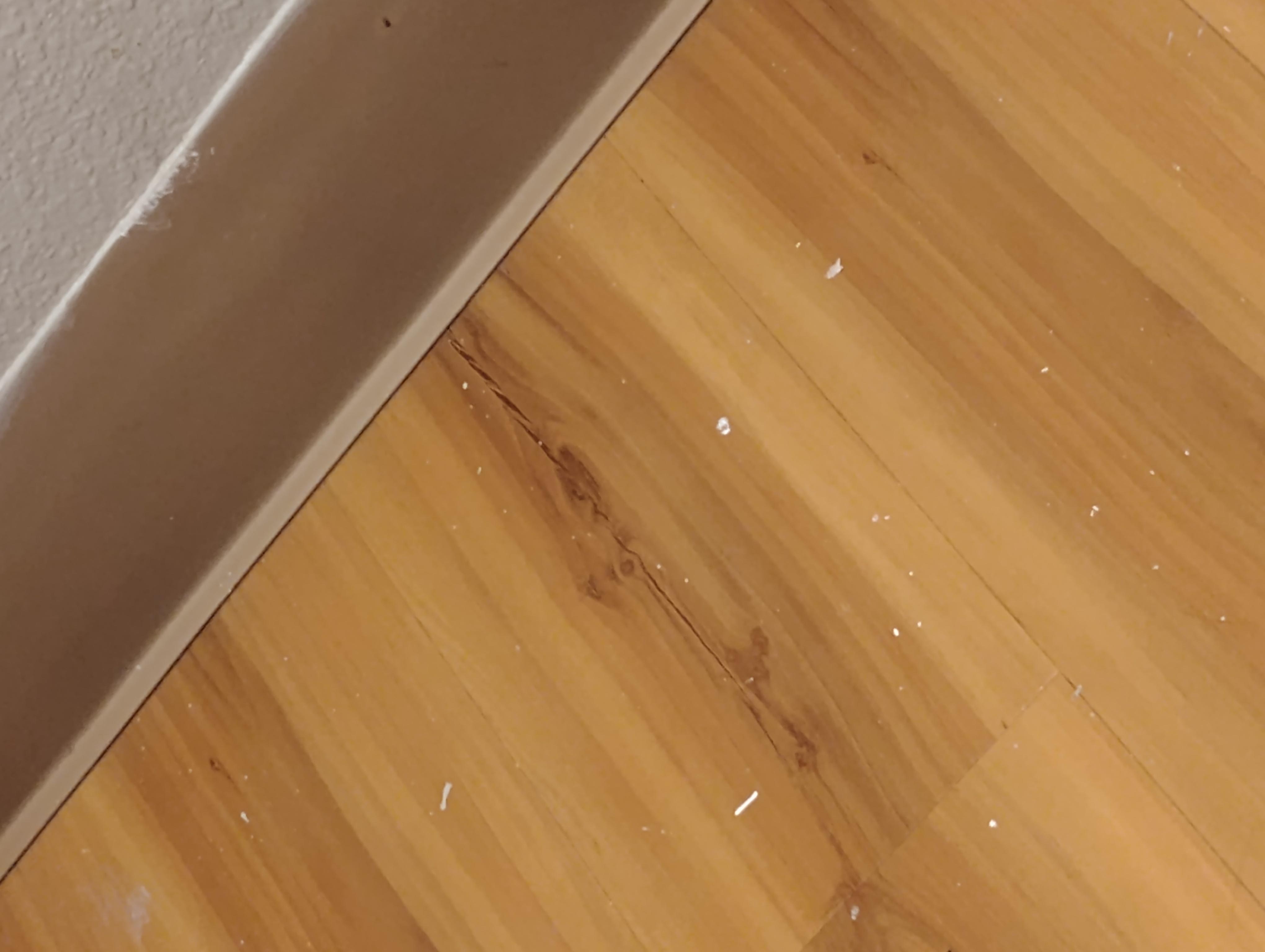 Bathroom floor toilet paper pieces all over 